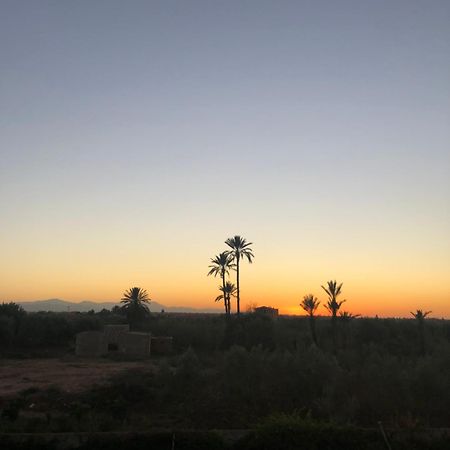 Gite & Camping Route Ouarzazate Bed and Breakfast Chwiter Eksteriør billede