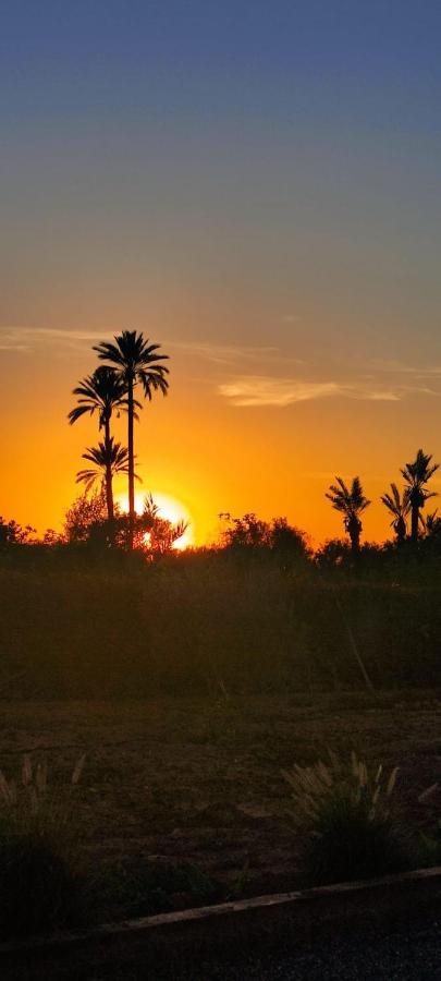 Gite & Camping Route Ouarzazate Bed and Breakfast Chwiter Eksteriør billede